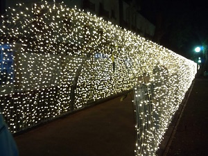 Veja como ficou a decoração de Natal em Poços de Caldas