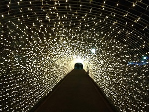 Veja como ficou a decoração de Natal em Poços de Caldas